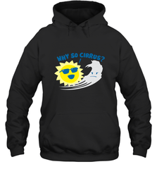 Weather Why So Cirrus Serious Cloud Funny Hooded Sweatshirt Hooded Sweatshirt - belovedtshirt