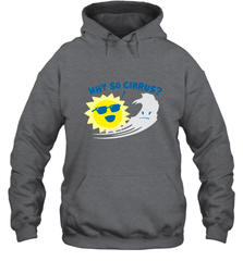 Weather Why So Cirrus Serious Cloud Funny Hooded Sweatshirt Hooded Sweatshirt - belovedtshirt