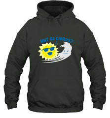 Weather Why So Cirrus Serious Cloud Funny Hooded Sweatshirt Hooded Sweatshirt - belovedtshirt
