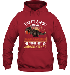 Dont mess with Mamasaurus Hooded Sweatshirt Hooded Sweatshirt - belovedtshirt