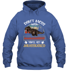 Dont mess with Mamasaurus Hooded Sweatshirt Hooded Sweatshirt - belovedtshirt