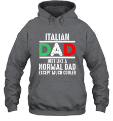 Italian Dad Much Cooler 3 Colours Italy Flag Fathers Day Hooded Sweatshirt Hooded Sweatshirt - belovedtshirt