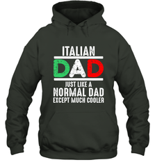 Italian Dad Much Cooler 3 Colours Italy Flag Fathers Day Hooded Sweatshirt Hooded Sweatshirt - belovedtshirt