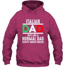 Italian Dad Much Cooler 3 Colours Italy Flag Fathers Day Hooded Sweatshirt Hooded Sweatshirt - belovedtshirt