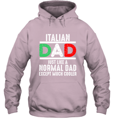 Italian Dad Much Cooler 3 Colours Italy Flag Fathers Day Hooded Sweatshirt Hooded Sweatshirt - belovedtshirt