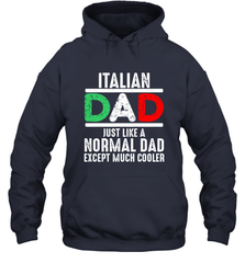 Italian Dad Much Cooler 3 Colours Italy Flag Fathers Day Hooded Sweatshirt Hooded Sweatshirt - belovedtshirt
