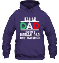 Italian Dad Much Cooler 3 Colours Italy Flag Fathers Day Hooded Sweatshirt Hooded Sweatshirt - belovedtshirt