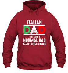 Italian Dad Much Cooler 3 Colours Italy Flag Fathers Day Hooded Sweatshirt Hooded Sweatshirt - belovedtshirt
