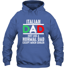 Italian Dad Much Cooler 3 Colours Italy Flag Fathers Day Hooded Sweatshirt Hooded Sweatshirt - belovedtshirt