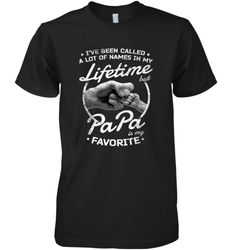 Papa Fathers Day Grandpa or Dad Men's Premium T-Shirt