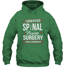 I Survived Spinal Fusion Surgery Hooded Sweatshirt Hooded Sweatshirt - belovedtshirt